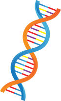 Gene Illustration